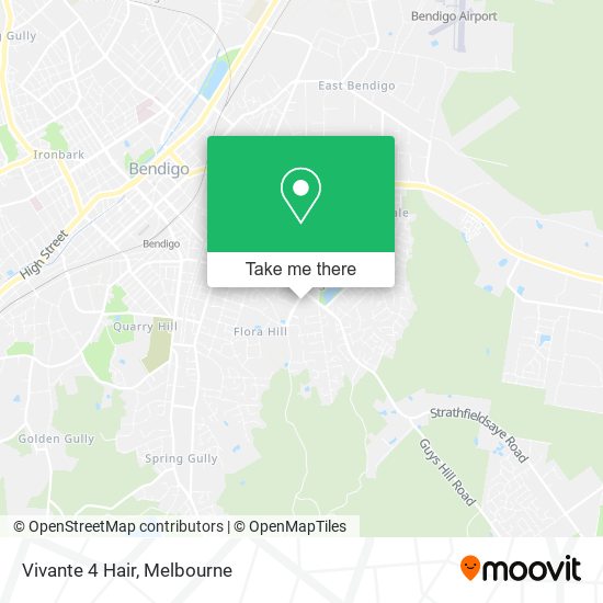 Vivante 4 Hair map