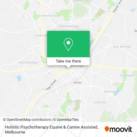 Holistic Psychotherapy Equine & Canine Assisted map