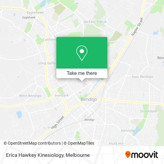 Erica Hawkey Kinesiology map