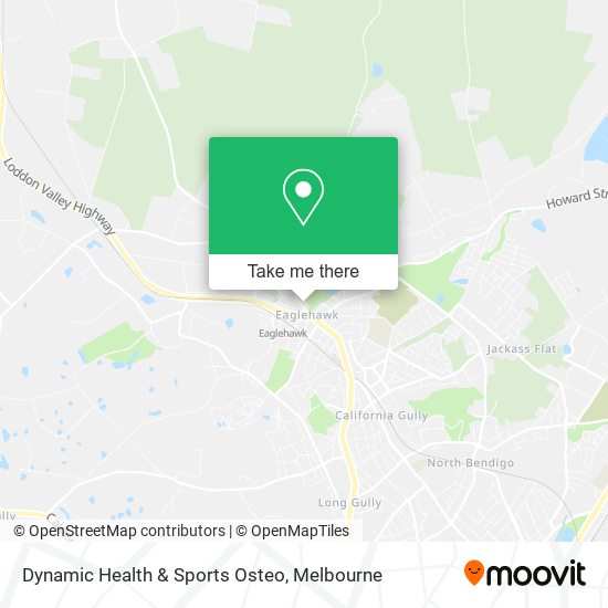 Dynamic Health & Sports Osteo map