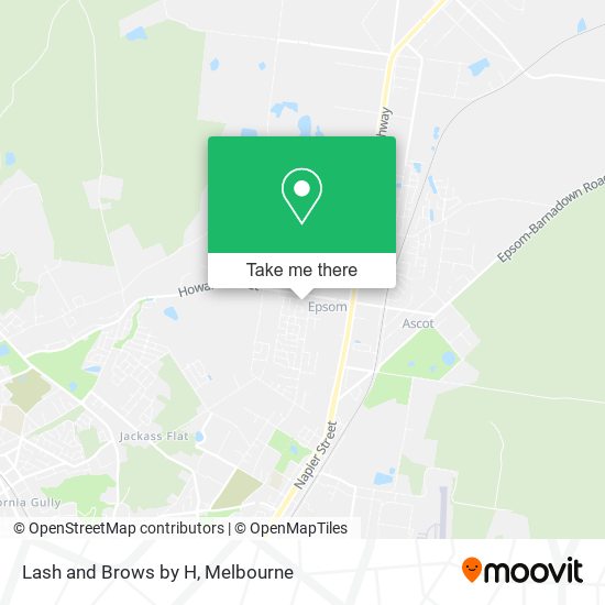 Lash and Brows by H map