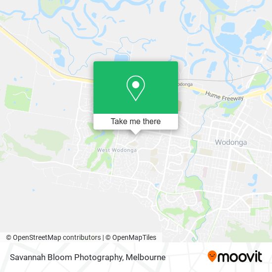 Savannah Bloom Photography map