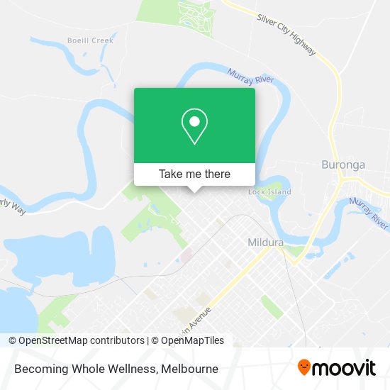 Becoming Whole Wellness map