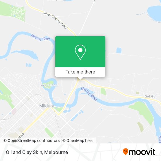 Oil and Clay Skin map