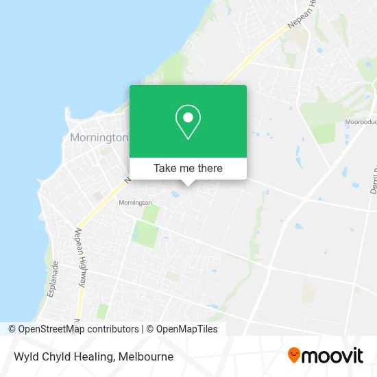 Mapa Wyld Chyld Healing