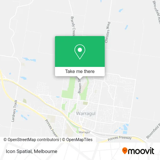Icon Spatial map