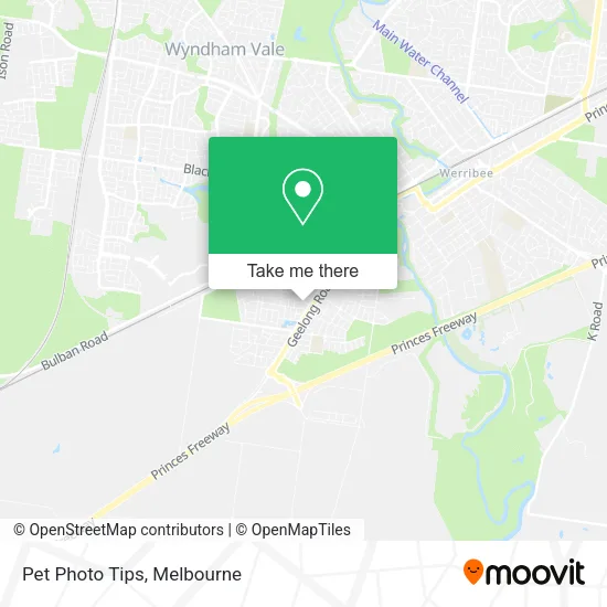 Pet Photo Tips map