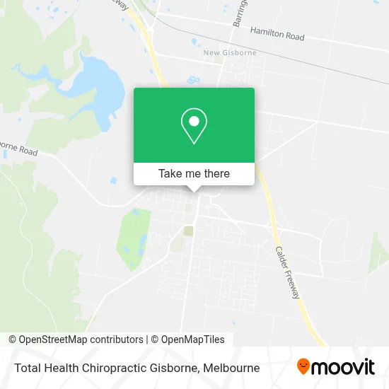 Mapa Total Health Chiropractic Gisborne