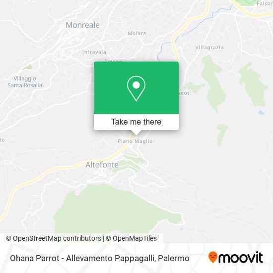 Ohana Parrot - Allevamento Pappagalli map