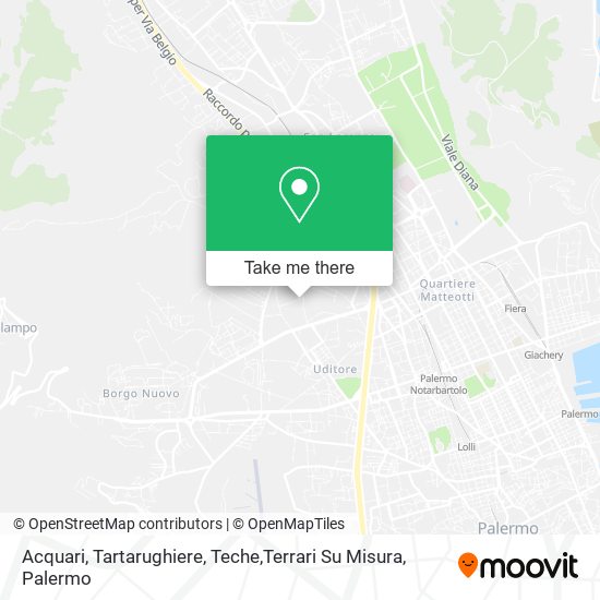 Acquari, Tartarughiere, Teche,Terrari Su Misura map
