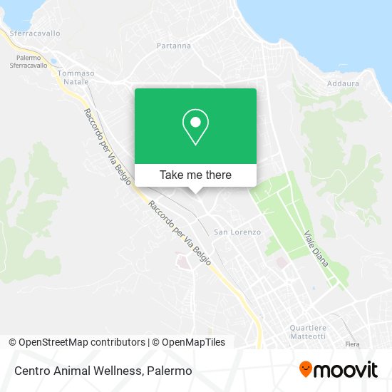 Centro Animal Wellness map