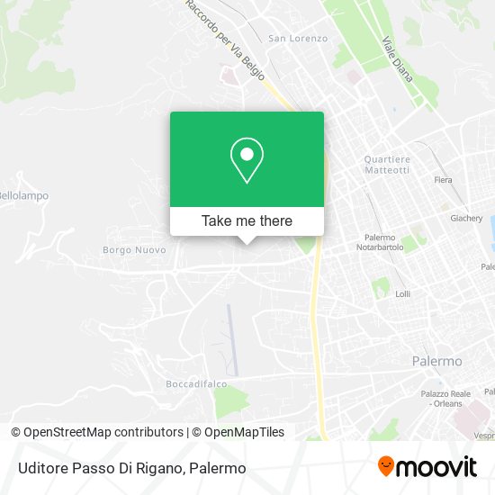 Uditore Passo Di Rigano map