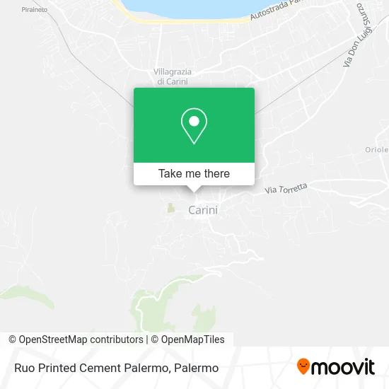 Ruo Printed Cement Palermo map