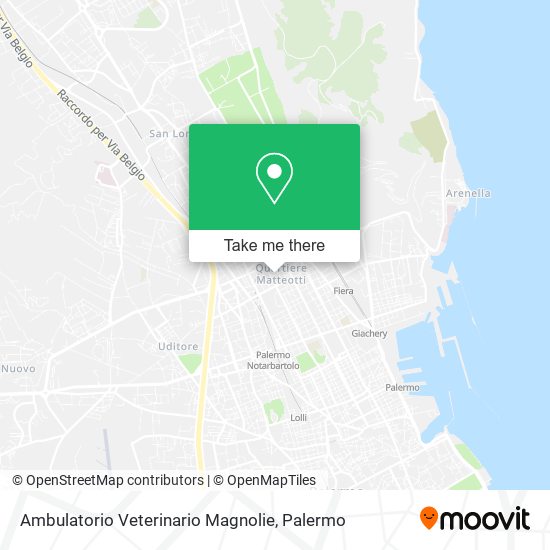 Ambulatorio Veterinario Magnolie map