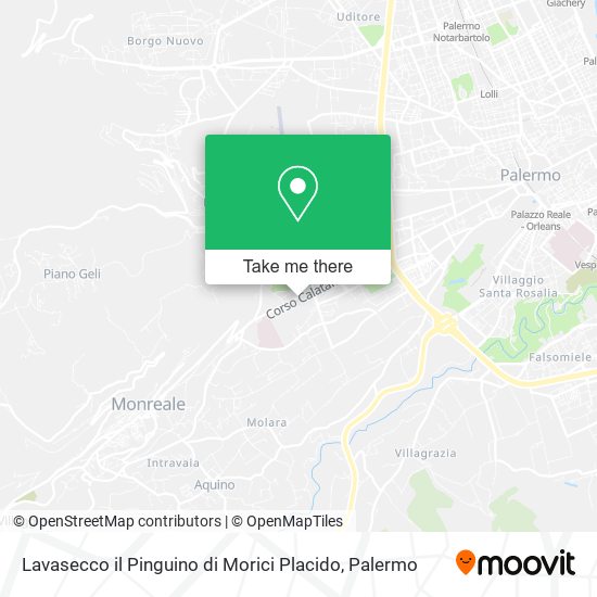 Lavasecco il Pinguino di Morici Placido map