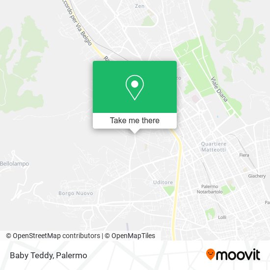 Baby Teddy map