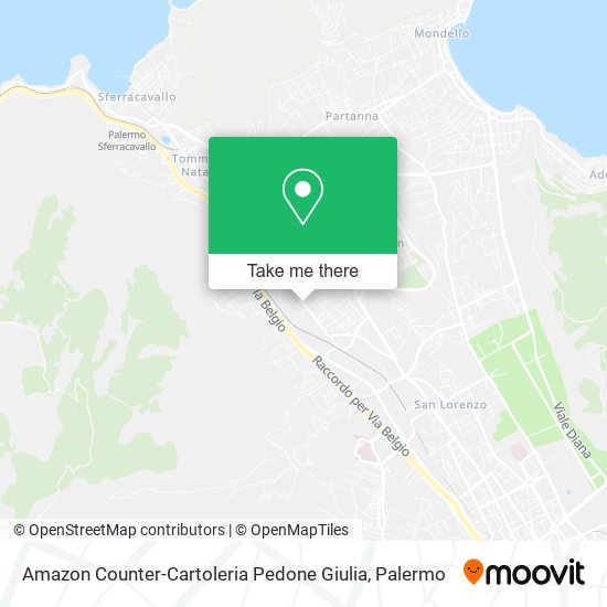 Amazon Counter-Cartoleria Pedone Giulia map