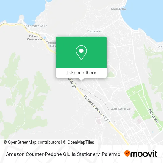 Amazon Counter-Pedone Giulia Stationery map