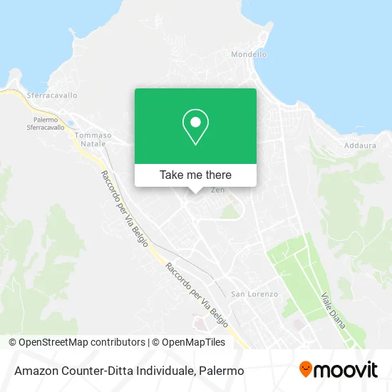 Amazon Counter-Ditta Individuale map