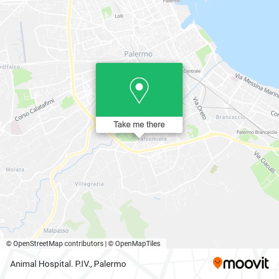 Animal Hospital. P.IV. map