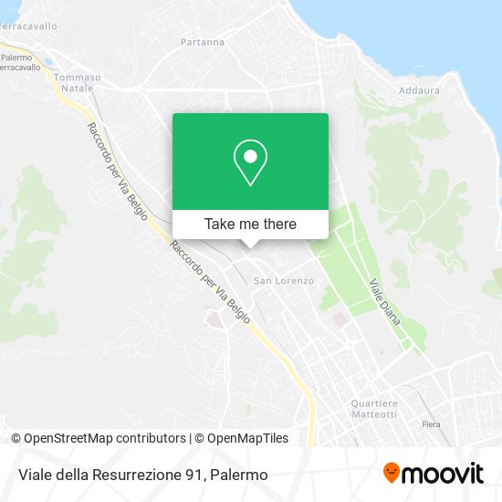 Viale della Resurrezione  91 map