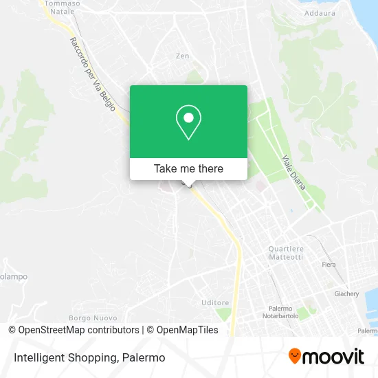 Intelligent Shopping map