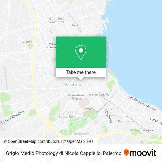 Medium Gray Photology by Nicola Cappiello map