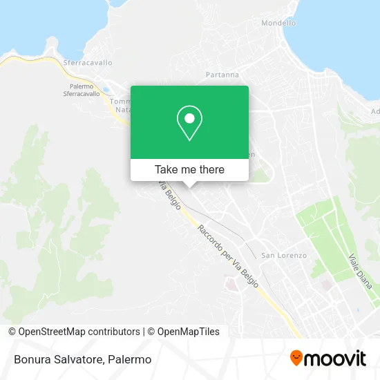 Bonura Salvatore map