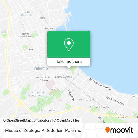 Museo di Zoologia P. Doderlein map