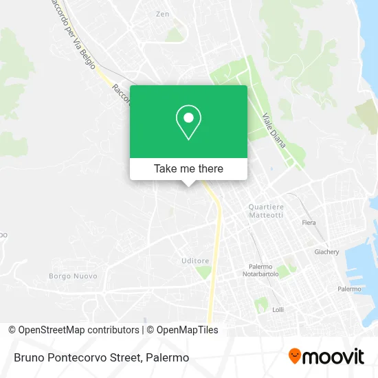 Bruno Pontecorvo Street map