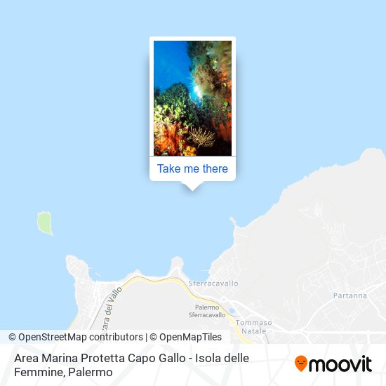Area Marina Protetta Capo Gallo - Isola delle Femmine map