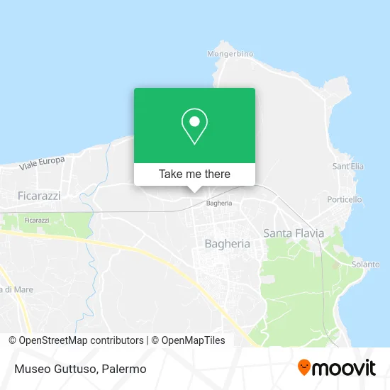 Museo Guttuso map