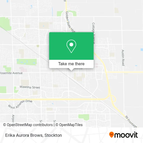 Erika Aurora Brows map