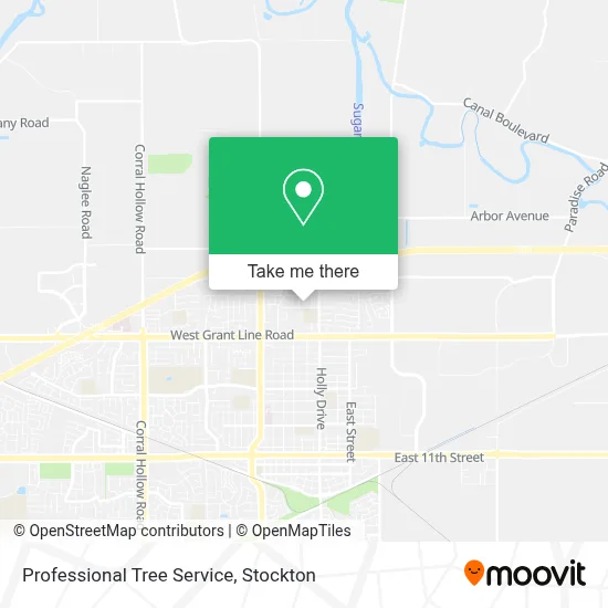 Professional Tree Service map