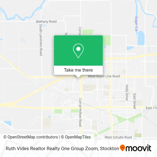Ruth Vides Realtor Realty One Group Zoom map
