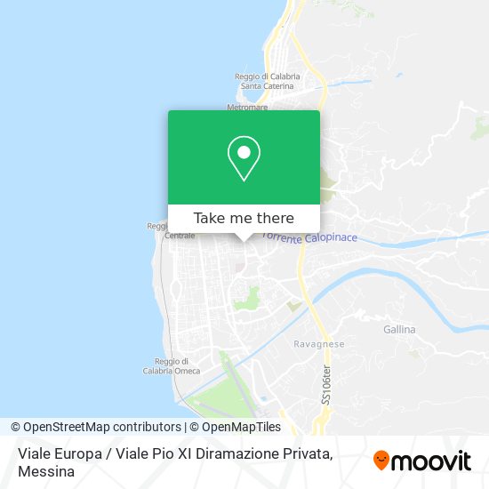 Viale Europa / Viale Pio XI Diramazione Privata map