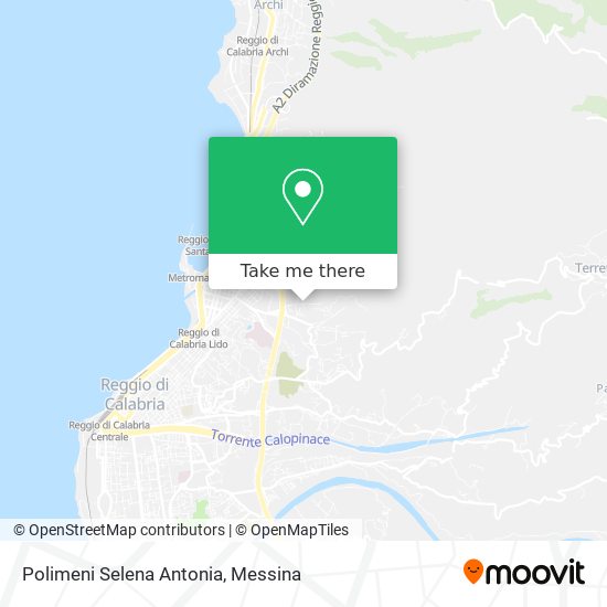 Polimeni Selena Antonia map