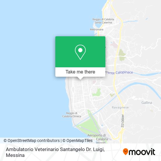 Ambulatorio Veterinario Santangelo Dr. Luigi map