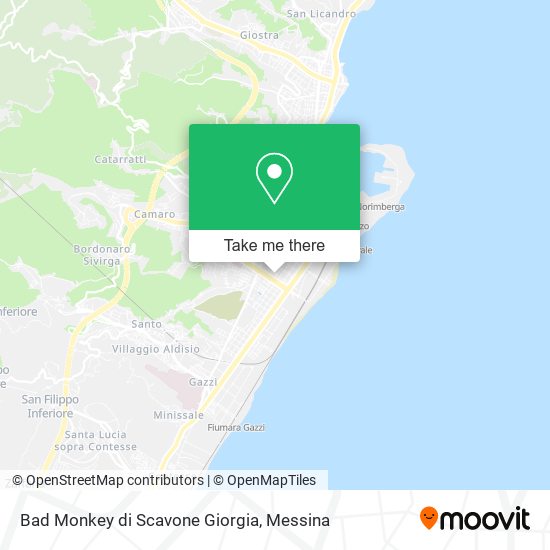 Bad Monkey di Scavone Giorgia map