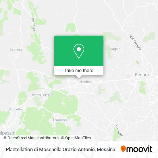Plantellation di Moschella Orazio Antonio map