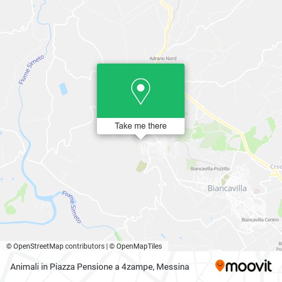 Animali in Piazza Pensione a 4zampe map