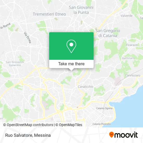 Ruo Salvatore map