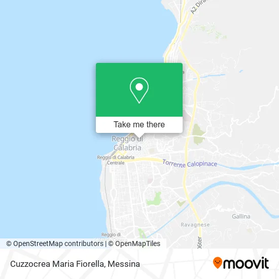 Cuzzocrea Maria Fiorella map