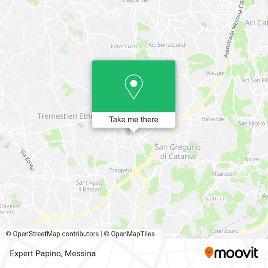 Expert Papino map
