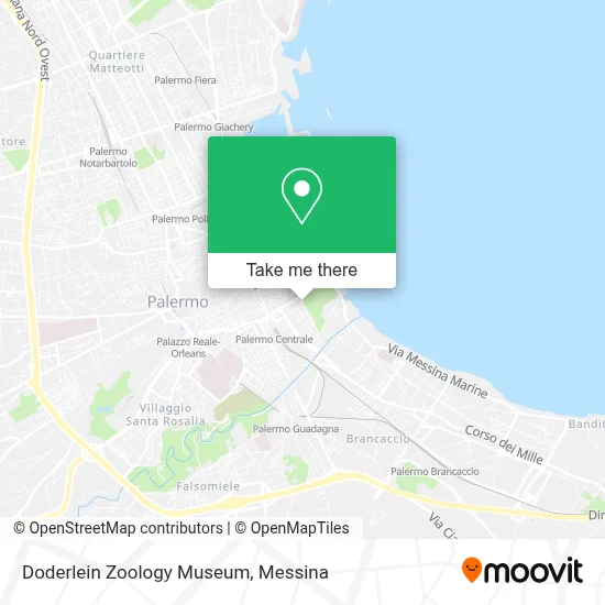 Doderlein Zoology Museum map