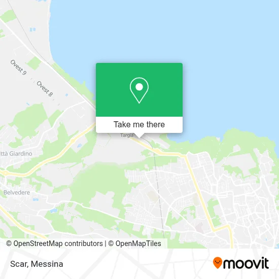 Scar map