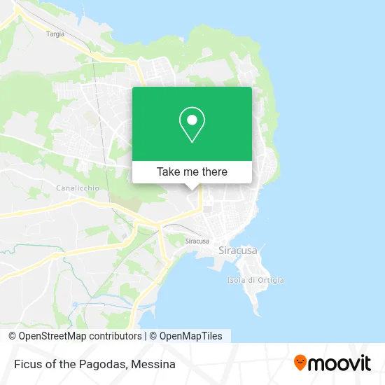 Ficus of the Pagodas map