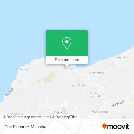 The Pleasure map