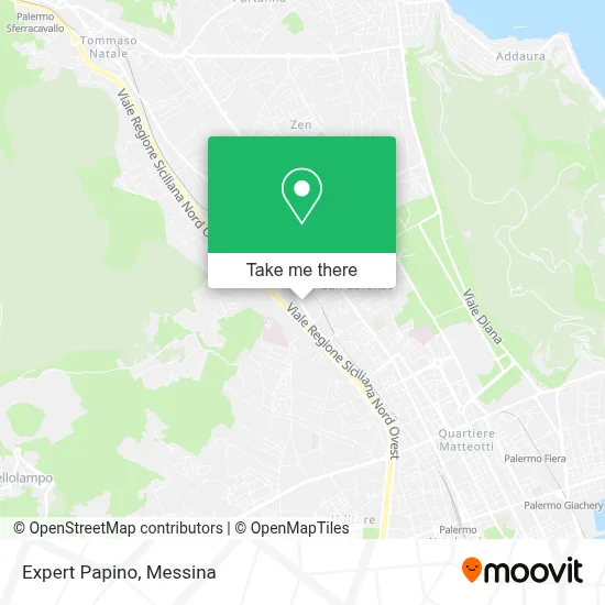 Expert Papino map