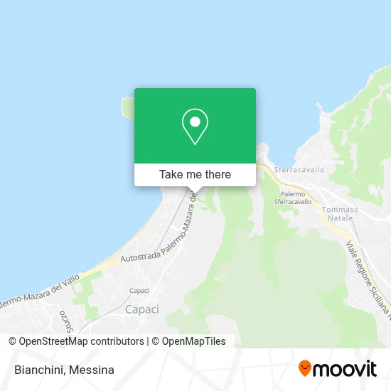 Bianchini map